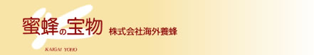 I̕󕨁@ЊCO{I